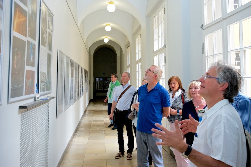 Ausstellung Vogelschwarm