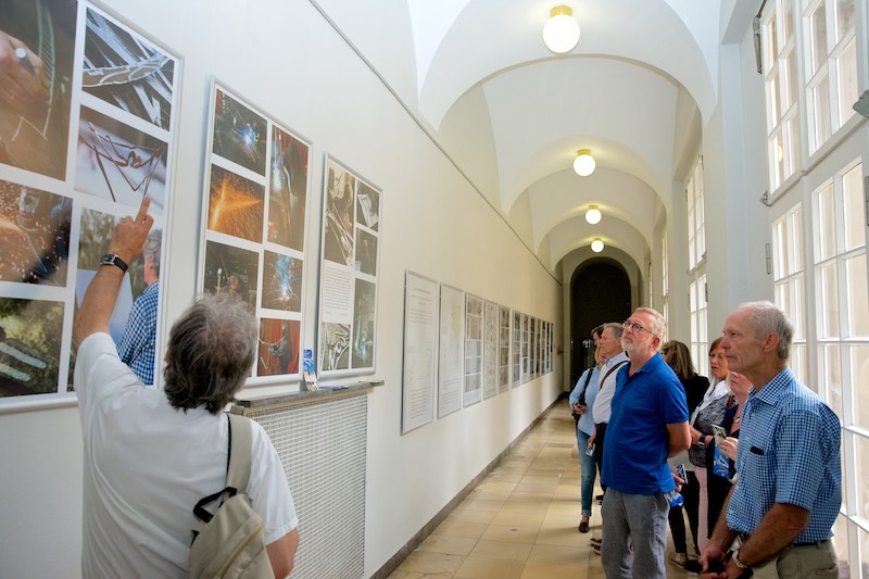 Ausstellung Vogelschwarm